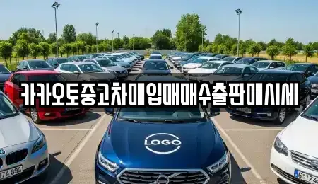 서울특별시 서대문구 충정로2가 중고차매입 전문 카카오토중고차매입매매수출판매시세