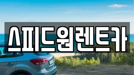 서울특별시 서초구 반포동 렌트카 전문 스피드원렌트카