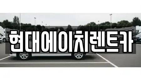 서울특별시 서초구 반포동 렌트카 전문 현대에이치렌트카