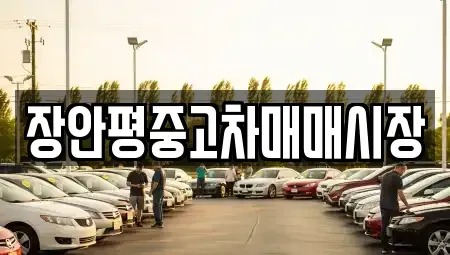 서울특별시 서초구 반포동 중고차 전문 장안평중고차매매시장