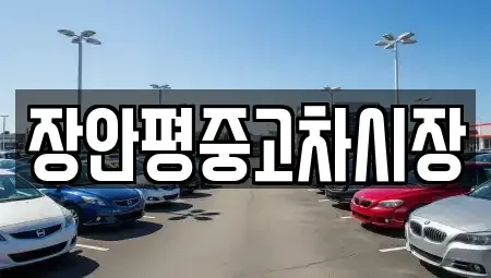 서울특별시 서초구 반포동 중고차 전문 장안평중고차시장