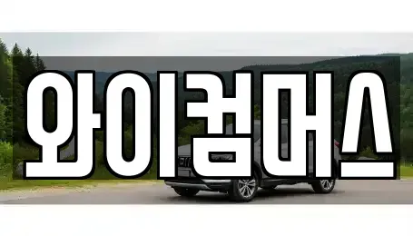 서울특별시 성북구 길음동 렌트카 전문 와이컴머스