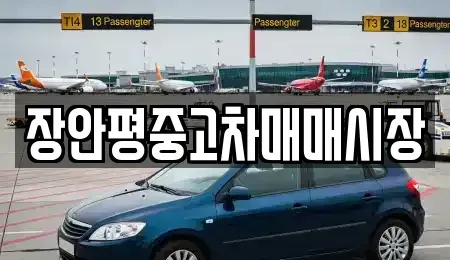 서울특별시 성북구 길음동 중고차 전문 장안평중고차매매시장