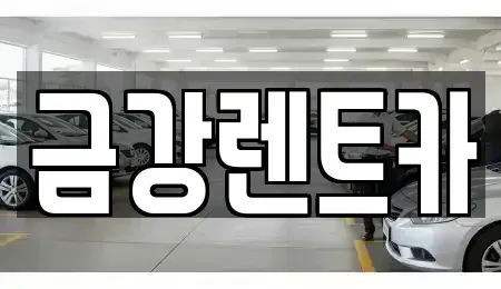 서울특별시 성북구 상월곡동 렌트카 전문 금강렌트카