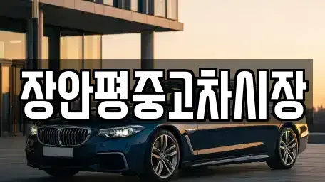 서울특별시 성북구 상월곡동 중고차 전문 장안평중고차시장