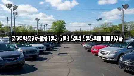 서울특별시 성북구 상월곡동 중고차 전문 중고트럭중고화물차1톤2.5톤3.5톤4.5톤5톤매매매입수출