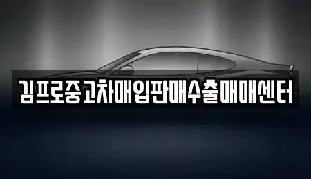 서울특별시 성북구 상월곡동 중고차매입 전문 김프로중고차매입판매수출매매센터