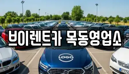 서울특별시 양천구 목동 단기렌트카,중고차매입,중고차매매,중고차,렌트카,장기렌트카