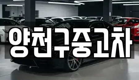 서울특별시 양천구 목동 중고차매매 전문 양천구중고차