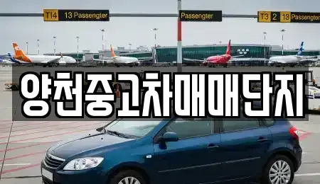 서울특별시 양천구 목동 중고차매매 전문 양천중고차매매단지