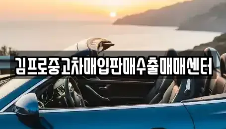 서울특별시 양천구 목동 중고차매입 전문 김프로중고차매입판매수출매매센터