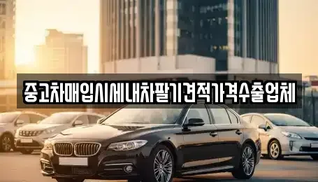 서울특별시 양천구 목동 중고차매입 전문 중고차매입시세내차팔기견적가격수출업체