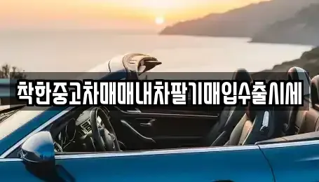 서울특별시 양천구 목동 중고차매입 전문 착한중고차매매내차팔기매입수출시세