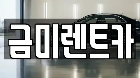 서울특별시 영등포구 당산동6가 렌트카 전문 금미렌트카