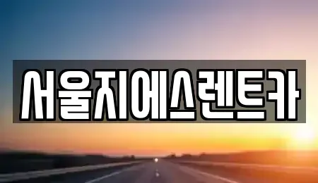 서울특별시 영등포구 당산동6가 렌트카 전문 서울지에스렌트카