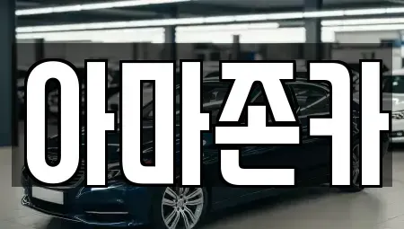 서울특별시 영등포구 당산동6가 장기렌트카 전문 아마존카