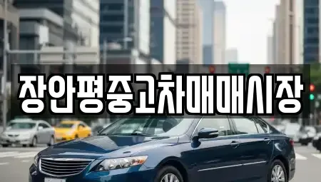 서울특별시 영등포구 당산동6가 중고차 전문 장안평중고차매매시장
