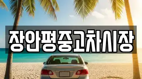 서울특별시 영등포구 당산동6가 중고차 전문 장안평중고차시장