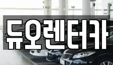 서울특별시 종로구 훈정동 렌트카 전문 듀오렌터카