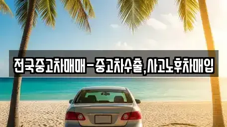 서울특별시 종로구 훈정동 중고차매입 전문 전국중고차매매-중고차수출,사고노후차매입