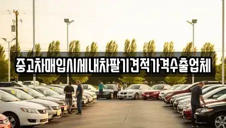 서울특별시 종로구 훈정동 중고차매입 전문 중고차매입시세내차팔기견적가격수출업체