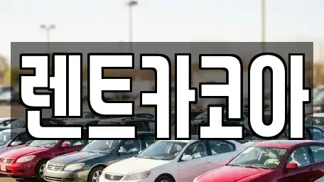 서울특별시 중구 예장동 렌트카 전문 렌트카코아