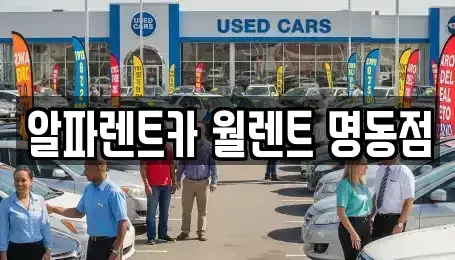 서울특별시 중구 예장동 렌트카 전문 알파렌트카 월렌트 명동점