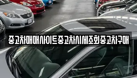 서울특별시 중구 예장동 중고차매매 전문 중고차매매사이트중고차시세조회중고차구매