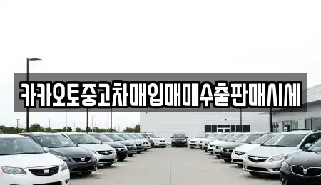 서울특별시 중구 예장동 중고차매매 전문 카카오토중고차매입매매수출판매시세