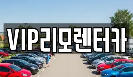 서울특별시 중구 필동2가 렌트카 전문 VIP리모렌터카