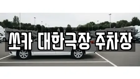 서울특별시 중구 필동2가 렌트카 전문 쏘카 대한극장 주차장