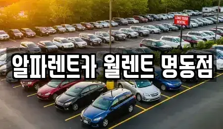 서울특별시 중구 필동2가 렌트카 전문 알파렌트카 월렌트 명동점