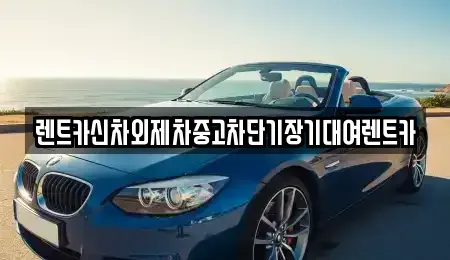 서울특별시 중구 필동2가 장기렌트카 전문 렌트카신차외제차중고차단기장기대여렌트카