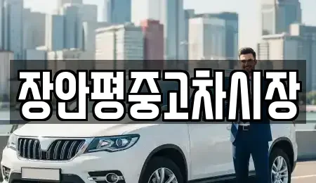 서울특별시 중구 필동2가 중고차 전문 장안평중고차시장