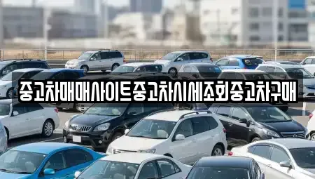 서울특별시 중구 필동2가 중고차 전문 중고차매매사이트중고차시세조회중고차구매