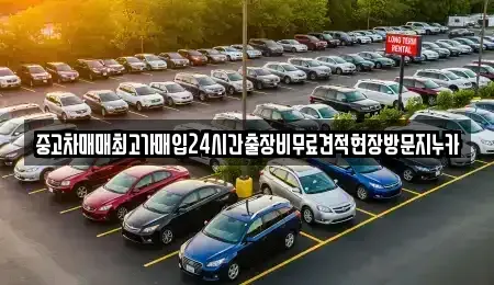 서울특별시 중구 필동2가 중고차매입 전문 중고차매매최고가매입24시간출장비무료견적현장방문지누카