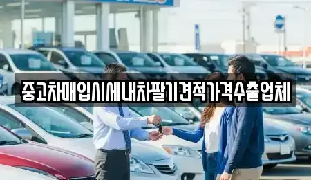서울특별시 중구 필동2가 중고차매입 전문 중고차매입시세내차팔기견적가격수출업체