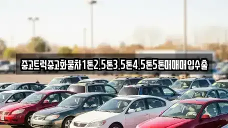 서울특별시 중구 필동2가 중고차매입 전문 중고트럭중고화물차1톤2.5톤3.5톤4.5톤5톤매매매입수출