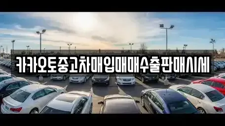 서울특별시 중구 필동2가 중고차매입 전문 카카오토중고차매입매매수출판매시세