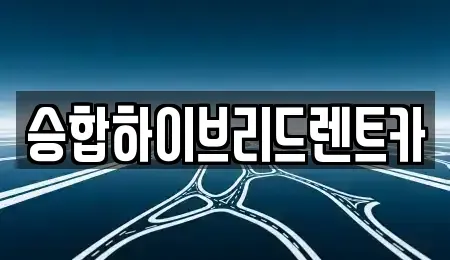 서울특별시 중랑구 장기렌트카 전문 승합하이브리드렌트카