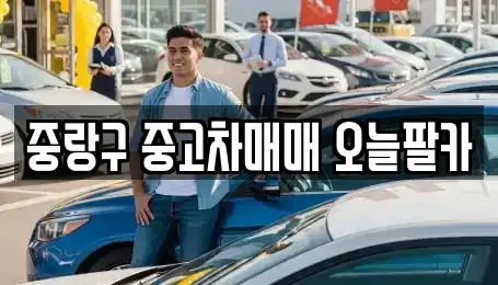 서울특별시 중랑구 중고차 전문 중랑구 중고차매매 오늘팔카