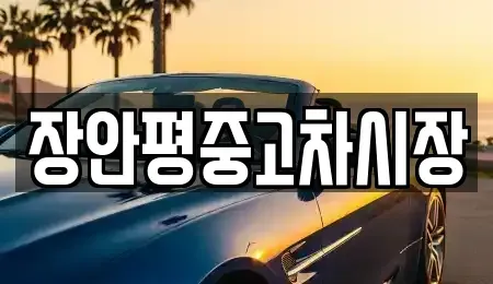 서울특별시 중랑구 중고차매매 전문 장안평중고차시장