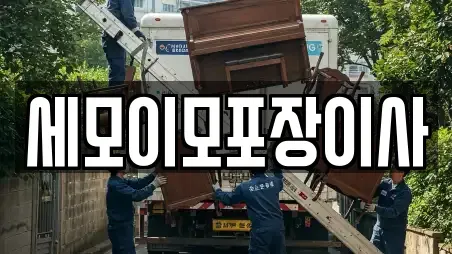 세모이모포장이사