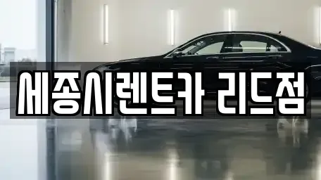 세종 연기면 렌트카 전문 세종시렌트카 리드점