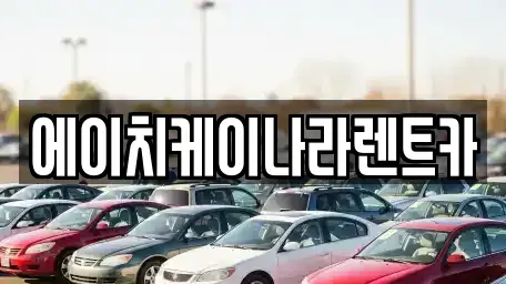 세종 연기면 렌트카 전문 에이치케이나라렌트카