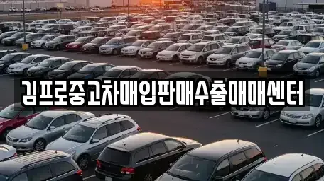 세종 연기면 중고차 전문 김프로중고차매입판매수출매매센터