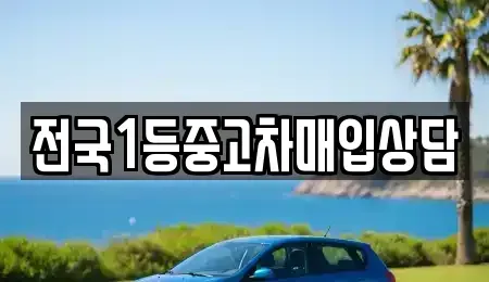 세종 연기면 중고차 전문 전국1등중고차매입상담