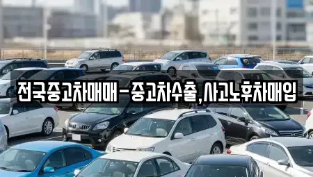 세종 연기면 중고차 전문 전국중고차매매-중고차수출,사고노후차매입