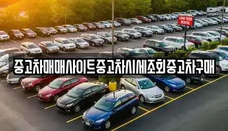 세종 연기면 중고차,렌트카,중고차매입,중고차매매,장기렌트카,단기렌트카