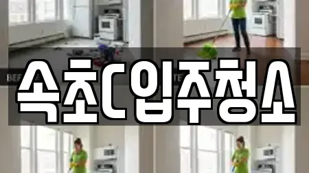 속초C입주청소